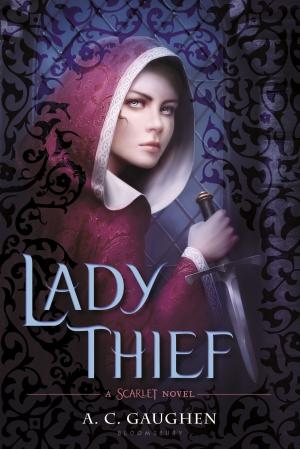 Cover of the book Lady Thief by Chris O'Rourke