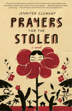 bigCover of the book Prayers for the Stolen by 