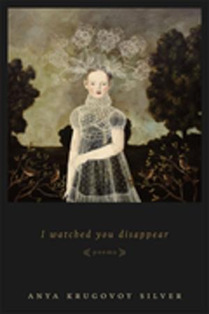 Cover of the book I Watched You Disappear by Erin M. Greenwald