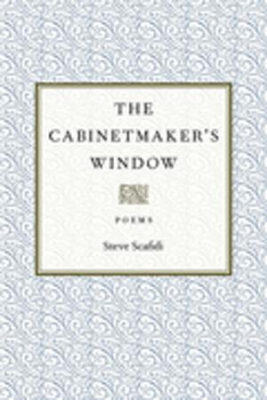 Cover of the book The Cabinetmaker's Window by Aimee Nezhukumatathil