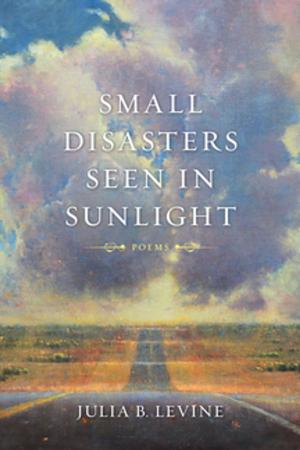 Cover of the book Small Disasters Seen in Sunlight by 