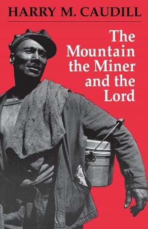Cover of the book The Mountain, the Miner, and the Lord and Other Tales from a Country Law Office by Ronald E. Shaw