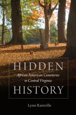 Cover of the book Hidden History by Eran Shalev