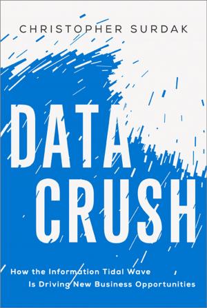 Cover of the book Data Crush by Becky Feola