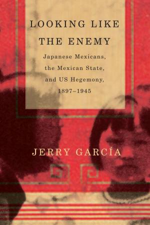 Cover of the book Looking Like the Enemy by 