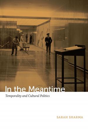Cover of the book In the Meantime by Annabel Patterson, Stanley Fish, Fredric Jameson