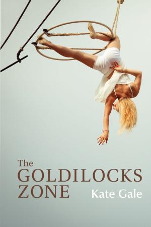 Cover of the book The Goldilocks Zone by Richard Flint, Shirley Cushing Flint
