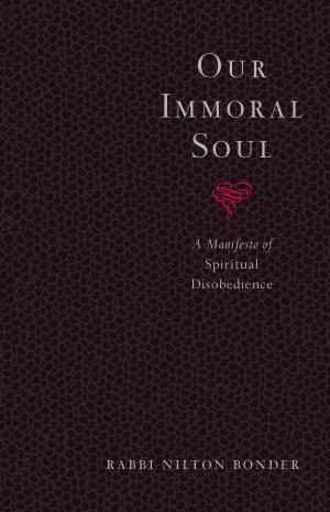Book cover of Our Immoral Soul