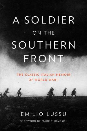 Cover of the book A Soldier on the Southern Front by Gianrico Carofiglio
