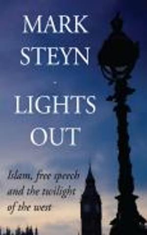 Cover of the book Lights Out by Geoffrey Gibson