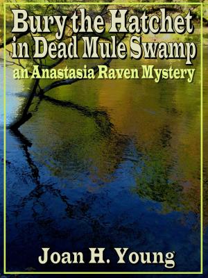 Book cover of Bury the Hatchet in Dead Mule Swamp