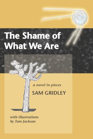 Cover of the book The Shame of What We Are by Anthony Ryan