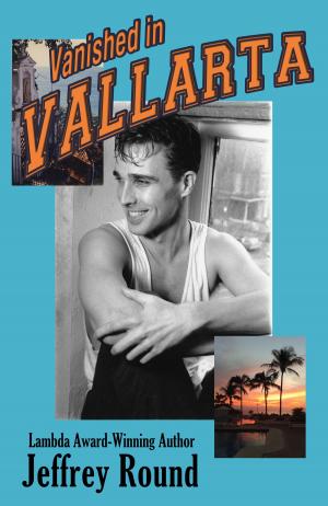 Book cover of Vanished In Vallarta: A Bradford Fairfax Mystery