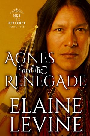 Book cover of Agnes and the Renegade