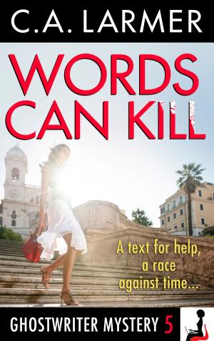 Cover of the book Words Can Kill (Ghostwriter Mystery 5) by Susan Price