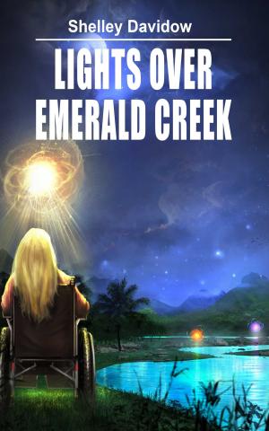 Book cover of Lights Over Emerald Creek