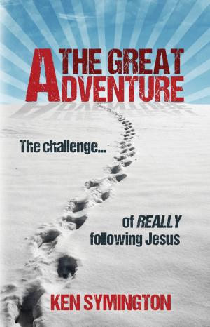 Cover of the book The Great Adventure by Stuart Robinson