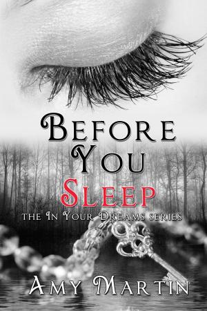 Cover of Before You Sleep