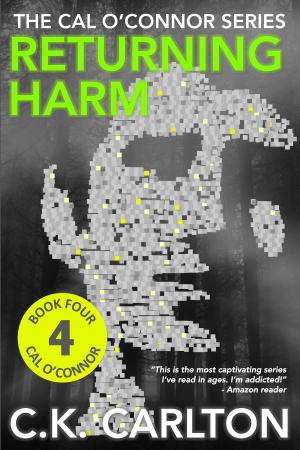 Cover of the book Returning Harm by Lizzy Ford