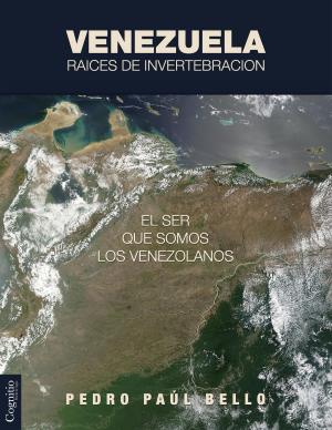 Cover of the book Venezuela: Raíces de invertebración by Carlos Machado Allison