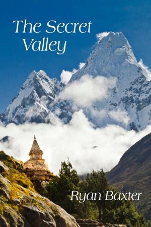 Cover of The Secret Valley