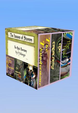 Cover of the book The Houses of Storem Box Set by Lindsey Goddard