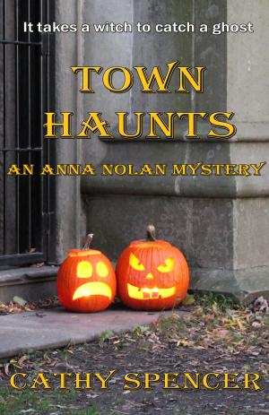 Cover of the book Town Haunts by Debbie Viguié
