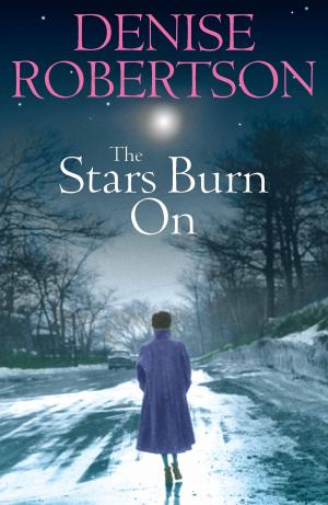 Cover of the book The Stars Burn On by Denise Robertson