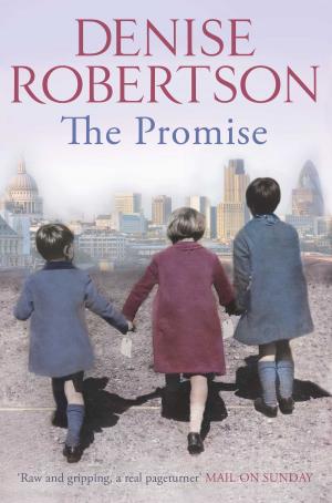 Cover of the book The Promise by Denise Robertson