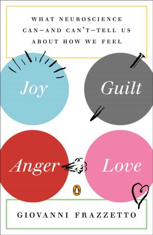 Cover of the book Joy, Guilt, Anger, Love by Sebastian Barry