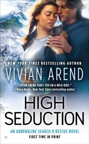 Cover of the book High Seduction by AnnMarie Stone