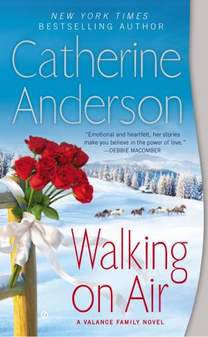 Cover of the book Walking On Air by Laurien Gardner