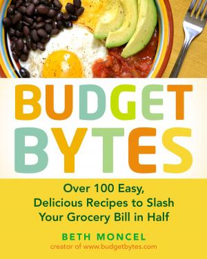 Cover of the book Budget Bytes by Wesley Ellis