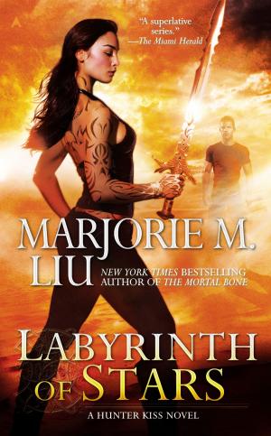 Cover of the book Labyrinth of Stars by Nancy Atherton