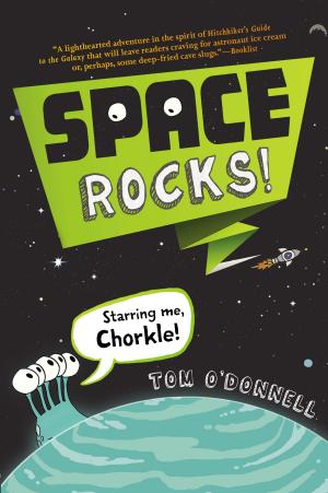 Book cover of Space Rocks!