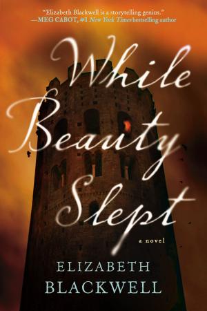 Cover of the book While Beauty Slept by Jenna Blum