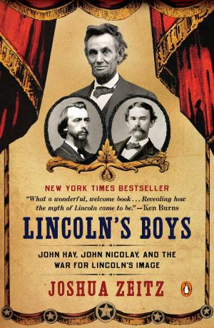 Cover of the book Lincoln's Boys by Sandra Scofield