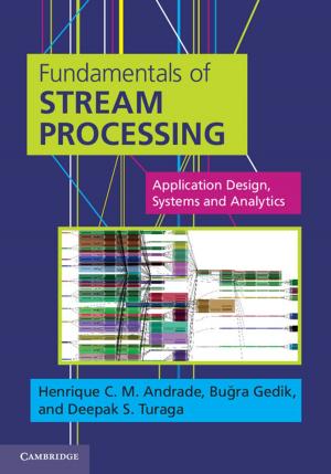 Cover of the book Fundamentals of Stream Processing by Herman Lelieveldt, Sebastiaan Princen