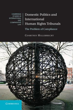 Cover of the book Domestic Politics and International Human Rights Tribunals by Nadine Moeller