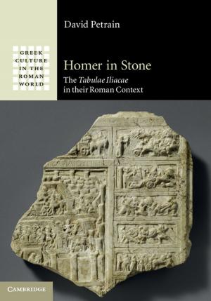 Cover of the book Homer in Stone by J. W. Van Ooijen, J. Jansen