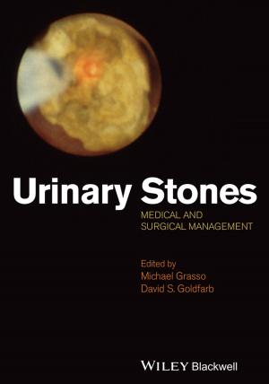 Cover of the book Urinary Stones by David Ahearn, Frank Ford, David Wilk