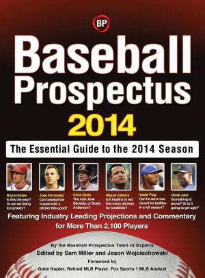 Book cover of Baseball Prospectus 2014