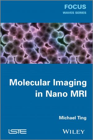 bigCover of the book Molecular Imaging in Nano MRI by 