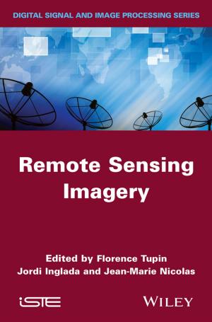 Cover of the book Remote Sensing Imagery by Emmanuel Todd