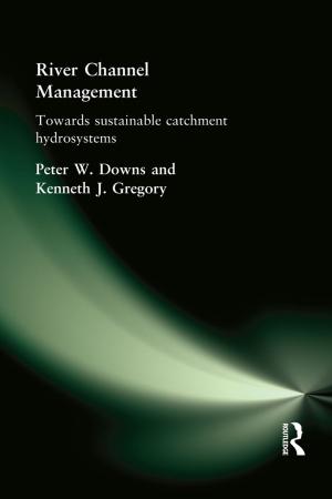 Cover of the book River Channel Management by Mario P. Iturralde