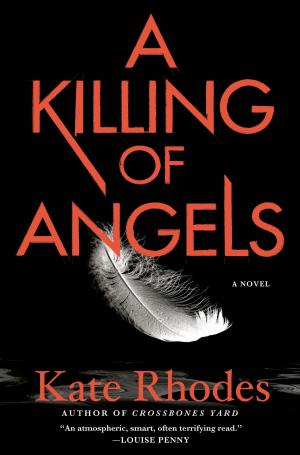 Cover of the book A Killing of Angels by David Poyer
