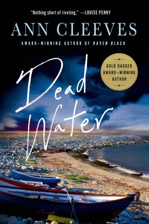 Cover of the book Dead Water by Kathleen Gilles Seidel