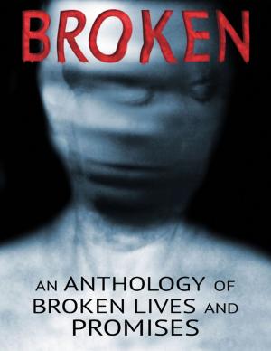Cover of the book Broken by ExecVisa