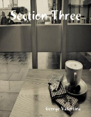 Cover of the book Section Three by Anne Reynolds