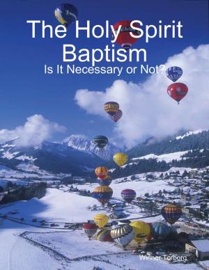 Cover of the book The Holy Spirit Baptism: Is It Necessary or Not by O Ikimi